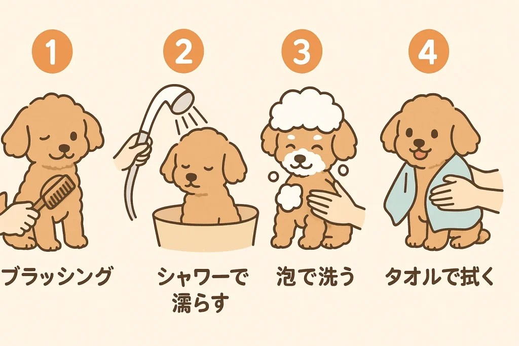 犬のシャンプーの流れを説明する手順イラスト