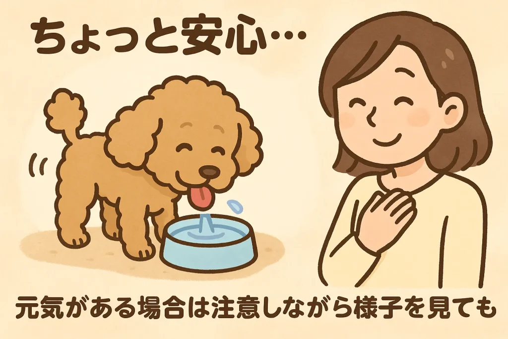 「水を飲んで元気そうにしているプードルと安心する飼い主のイラスト」