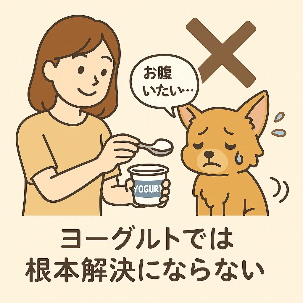 犬にヨーグルトを与えるイラスト。効果がなく困る飼い主