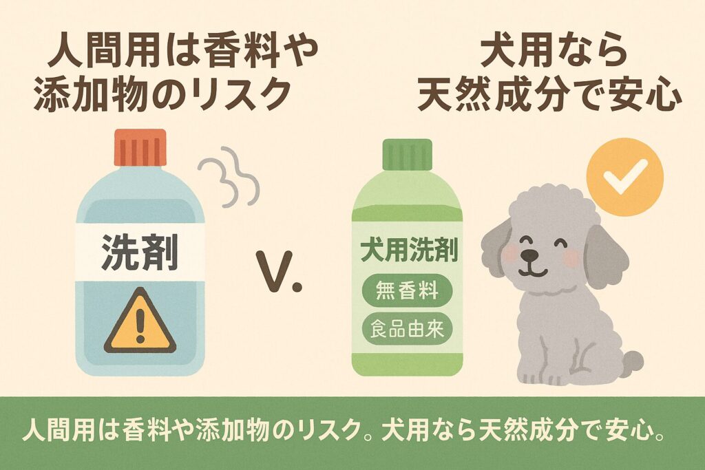 「ステンレス食器・陶器、犬用洗剤、色分けスポンジを並べ、アプリコットプードルが嬉しそうに見ているイラスト」