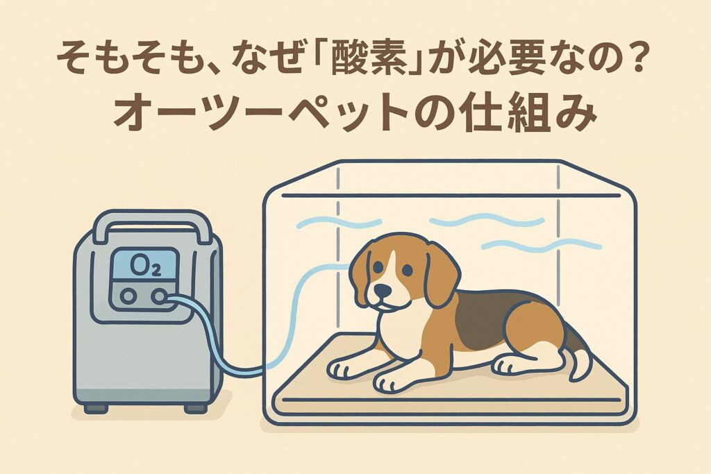酸素濃縮器が30〜40%酸素をケージへ送る仕組みの図解イラスト