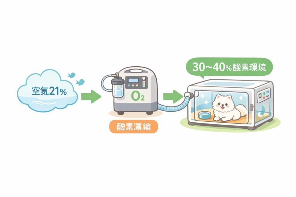 在宅ペット用酸素室の仕組み図解。空気21%から酸素濃縮器を通し、ケージ内を30〜40%の酸素環境にする流れ。