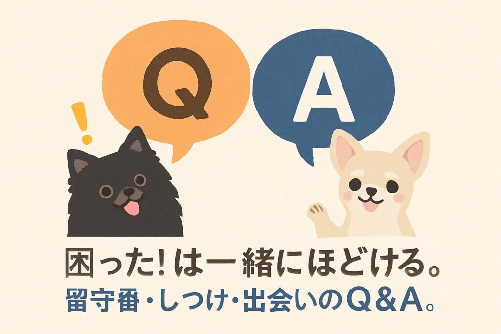 吹き出しでQとAが並び、黒ポメとチワワが案内する親しみやすいFAQイラスト