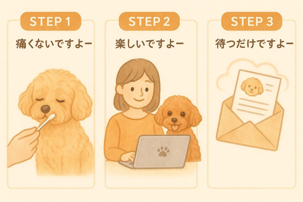 綿棒で口内をぬぐう、パソコンで診断に回答、レポートを受け取る3ステップのイラスト。