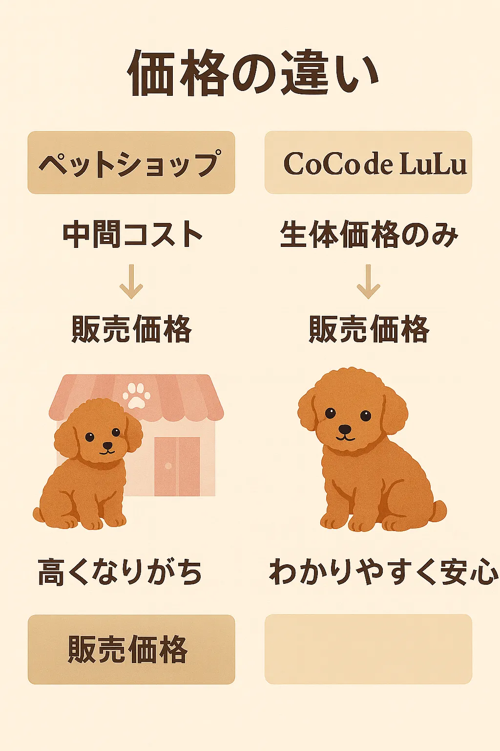 大阪のトイプードル専門犬舎CoCo de LuLuとペットショップの価格比較図