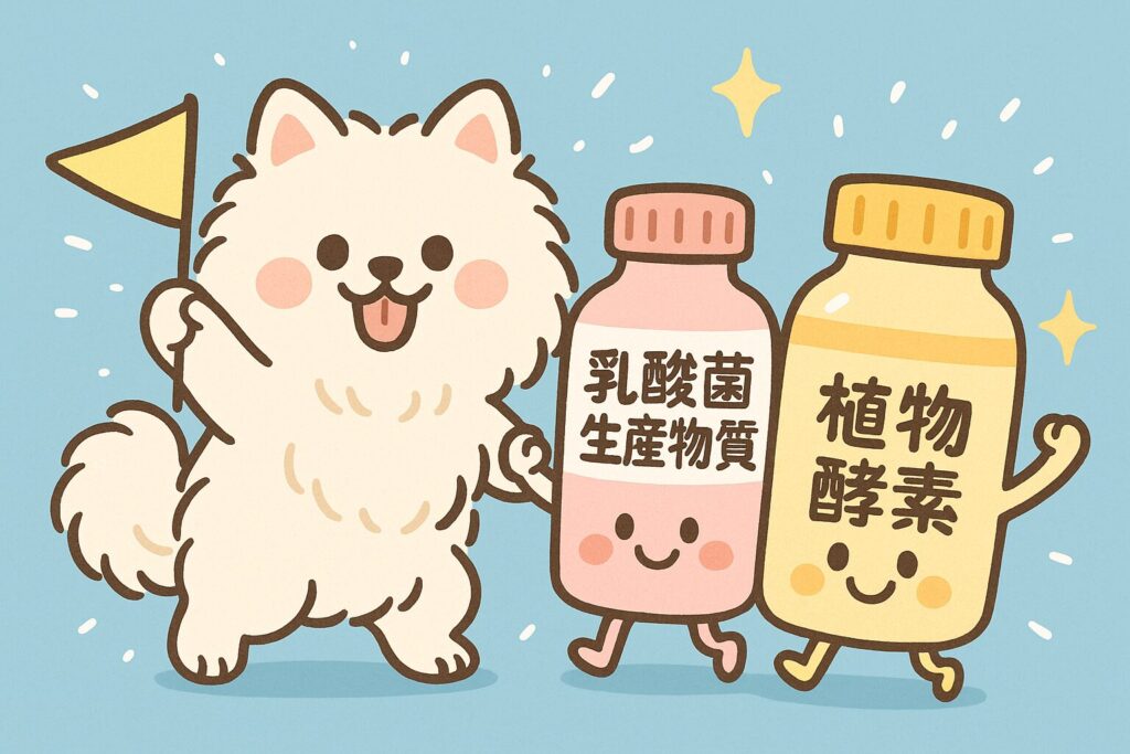 白ポメラニアンが“乳酸菌生産物質+植物酵素”を応援するポジティブなイラスト