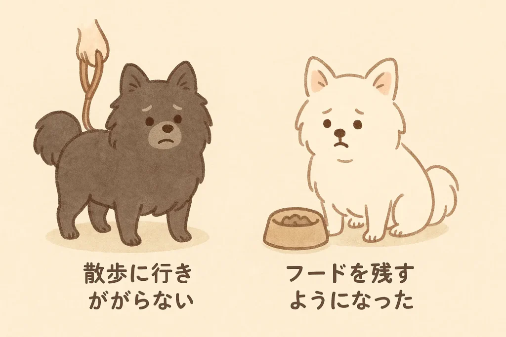 リードを持つも少し躊躇する黒ポメラニアンと、小さめの食器を前に首をかしげる白ポメラニアンのイラスト。