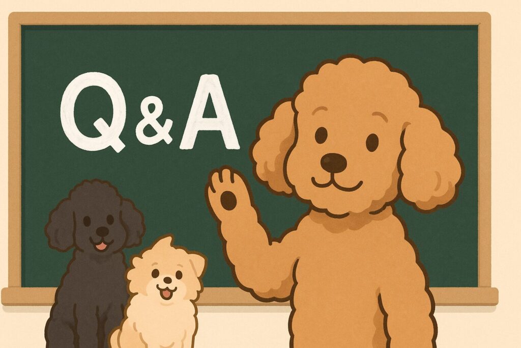 黒板風のQ&Aボードを前に、アプリコットプードルが手を挙げて質問するポーズのかわいいイラスト
