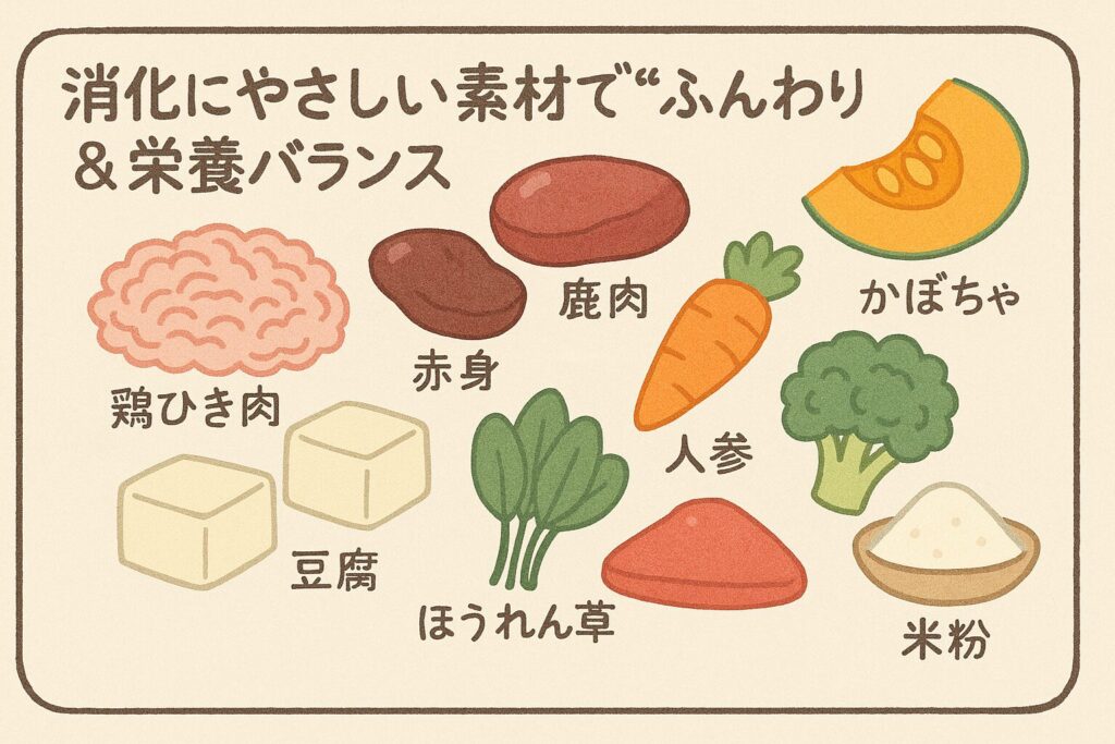 鶏ひき肉・鹿肉・赤身・かぼちゃ・人参・ブロッコリー・ほうれん草・豆腐・米粉などを可愛い手描きで並べた素材図解イラスト。