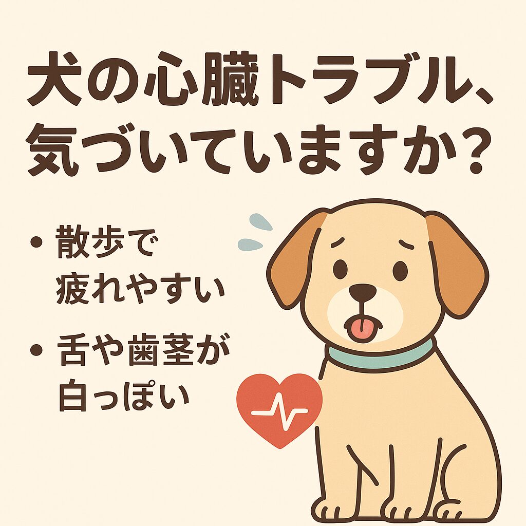 散歩で疲れる犬や舌の色が薄い犬を示した心臓トラブルのサインイラスト