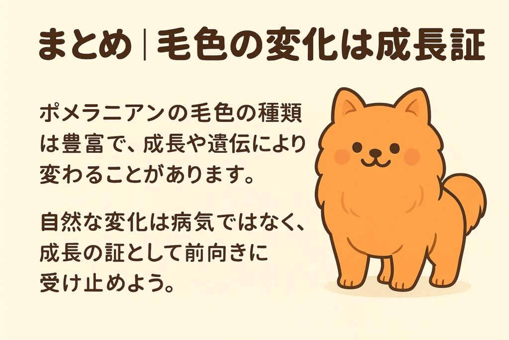 いろいろな毛色のポメラニアンが並んで微笑んでいる可愛いまとめ用イラスト