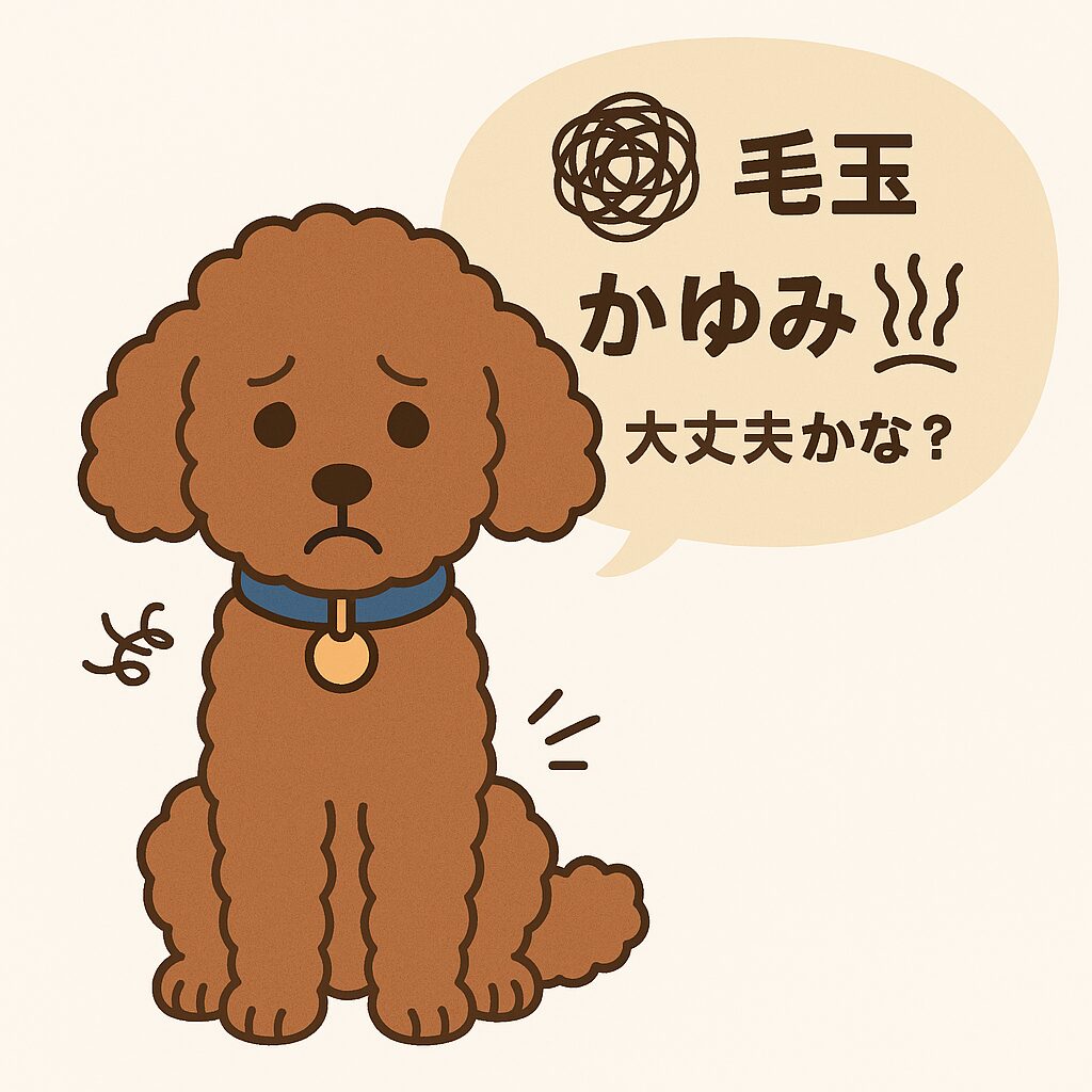 首輪で毛玉や皮膚トラブルに悩むトイプードルのイラスト