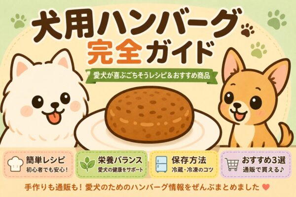 犬用ハンバーグ完全ガイドのアイキャッチ画像。白い犬とチワワが犬用ハンバーグを見つめているイラスト