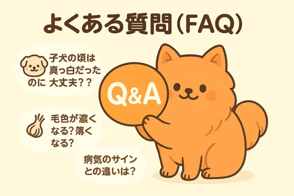 ポメラニアンが大きなQマークを持ち、吹き出しで質問を表す可愛いFAQイラスト