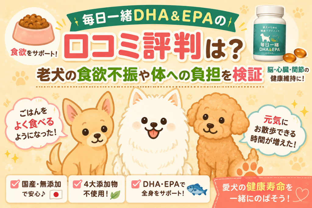 毎日一緒DHA＆EPAの口コミ評判と老犬への使用をイメージした犬のイラスト