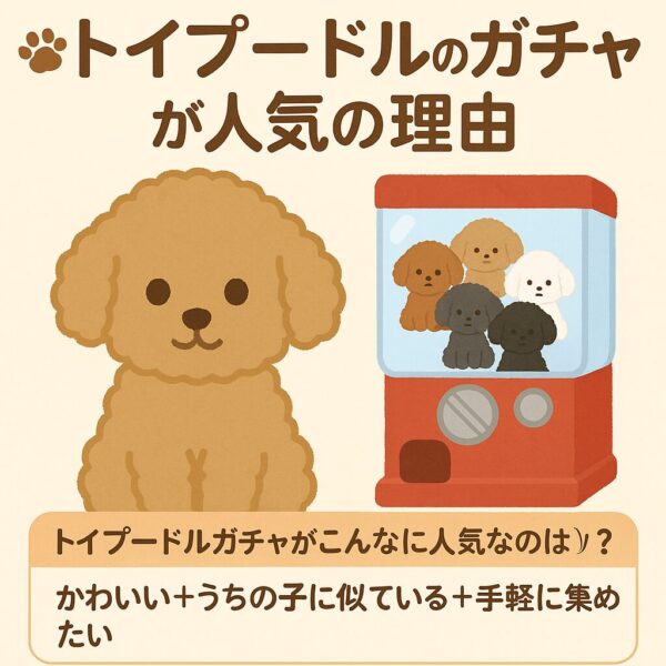 トイプードルのガチャカプセルから小さなぬいぐるみトイプードルが顔を出している、可愛いイラスト風アイキャッチ。