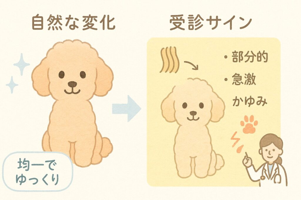 左側に“均一でゆっくり”のトイプードル、右側に“部分的・急激・かゆみ”のアイコンを添えた注意イラスト。小さな獣医のピクト付き。