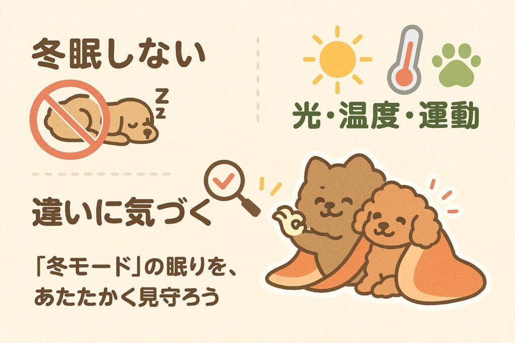 冬の犬の睡眠ポイントをまとめた可愛いステッカー風イラスト