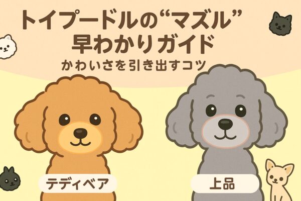 イラスト調で、アプリコットとシルバーのトイプードルが並び、マズル部位がやさしく強調された可愛いキービジュアル。背景はパステル、角に白ポメ・黒ポメ・チワワの小さなワンポイント。
