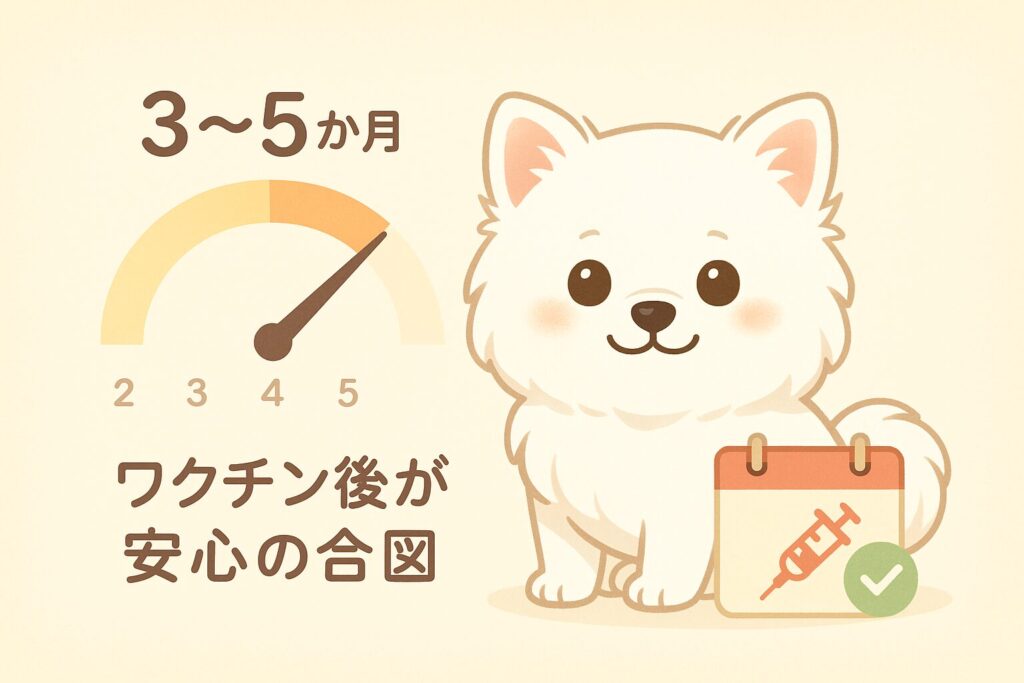 月齢ゲージとワクチンチェックを示す可愛い白ポメのイラスト。