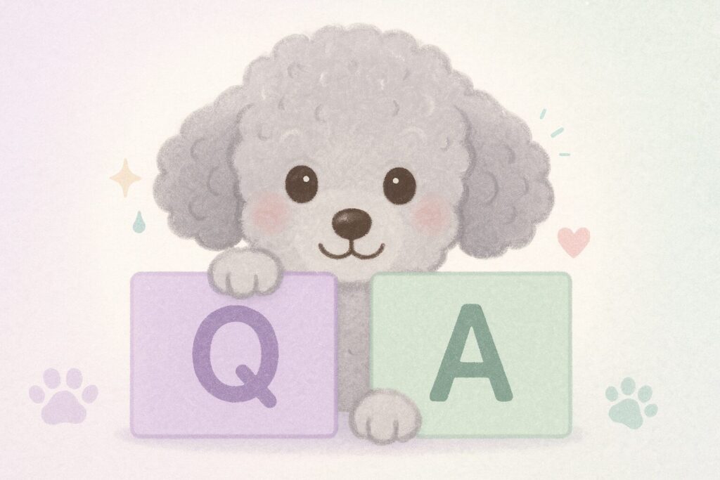 QとAのカードから顔をのぞかせるシルバートイプードルの可愛いイラスト