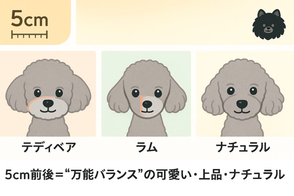 3コマ分割イラスト。シルバートイプードルでテディベア/ラム/ナチュラルの仕上がり比較。端に5cmの小さな定規モチーフ、背景パステル。黒ポメのミニスタンプがワンポイント。