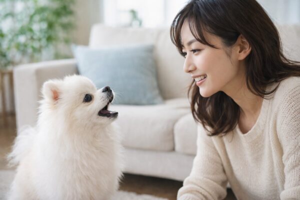 リビングで白ポメラニアンを優しく見守る自然な笑顔の日本人女性