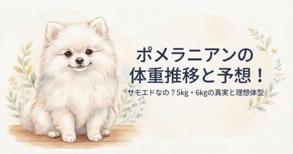 「ポメラニアンの体重推移と予想！サモエドなの？5kg・6kgの真実と理想体型」と書かれた、水彩画タッチの白いポメラニアンのイラスト