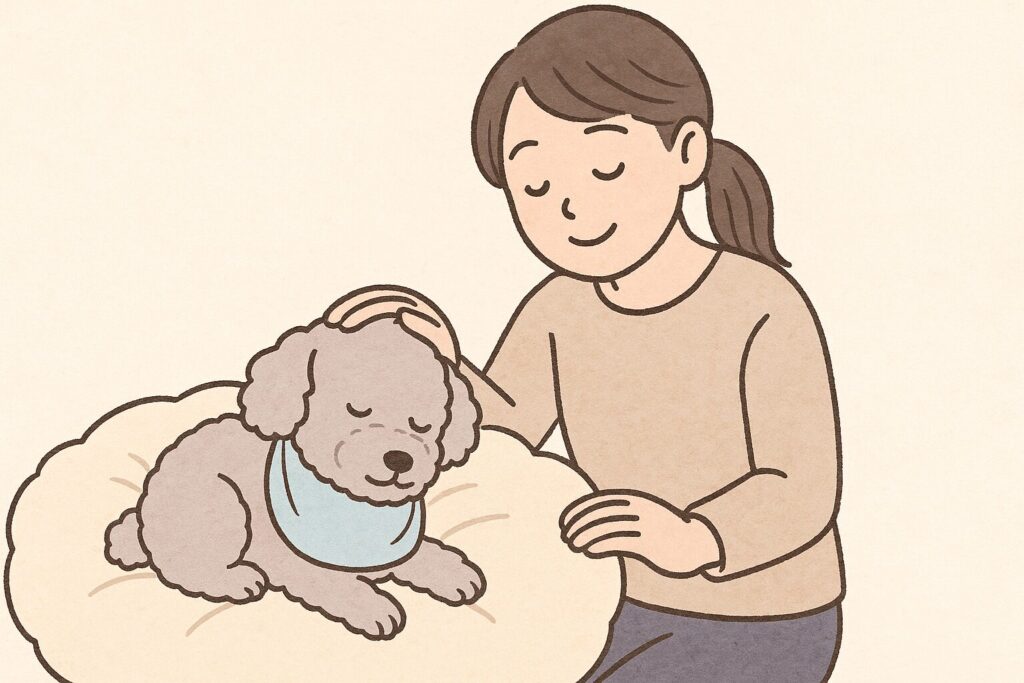 シルバートイプードルがよだれかけをつけて眠り、日本人女性がそばで頭をなでている癒し系イラスト。