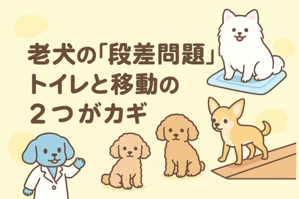 　老犬の段差問題を解決するためのトイレとスロープ対策を描いた可愛い犬たちのイラスト。