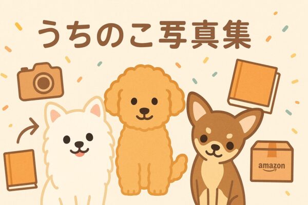 Amazonで全国販売できる「うちのこ写真集」をイメージした可愛いイラスト(白ポメ・プードル・チワワ)