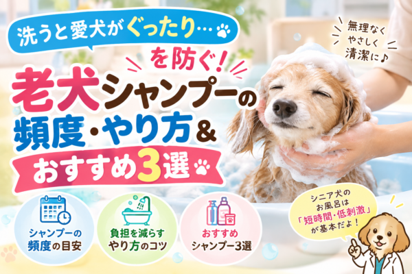 シャンプーをしている老犬と老犬向けシャンプーの選び方