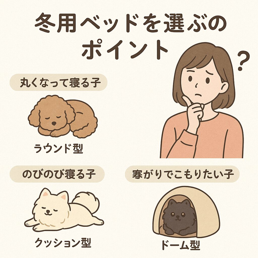 丸まる子・のびて寝る子・寒がりでこもりたい子、それぞれに合った冬用ベッドのタイプを示すイラスト