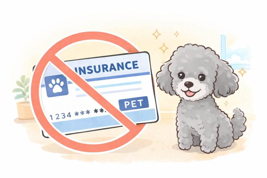 保険カードに×印が付いた横で笑うシルバートイプードルの可愛いイラスト