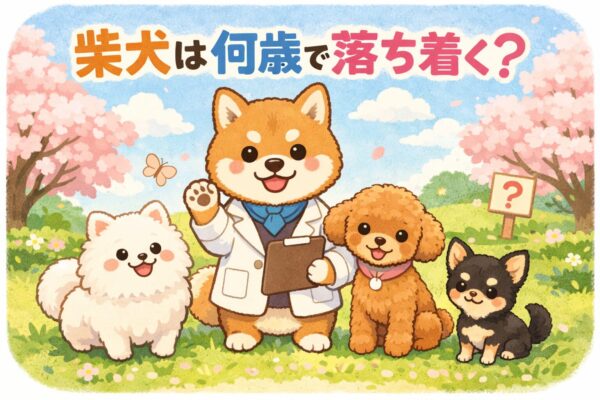 桜の公園で白ポメ・アプリコットプードル・チワワと並ぶ、研究員風の柴犬イラスト