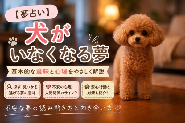 犬がいなくなる夢の意味を解説するアイキャッチ画像。室内に立つトイプードルと「犬がいなくなる夢」の文字入りデザイン。