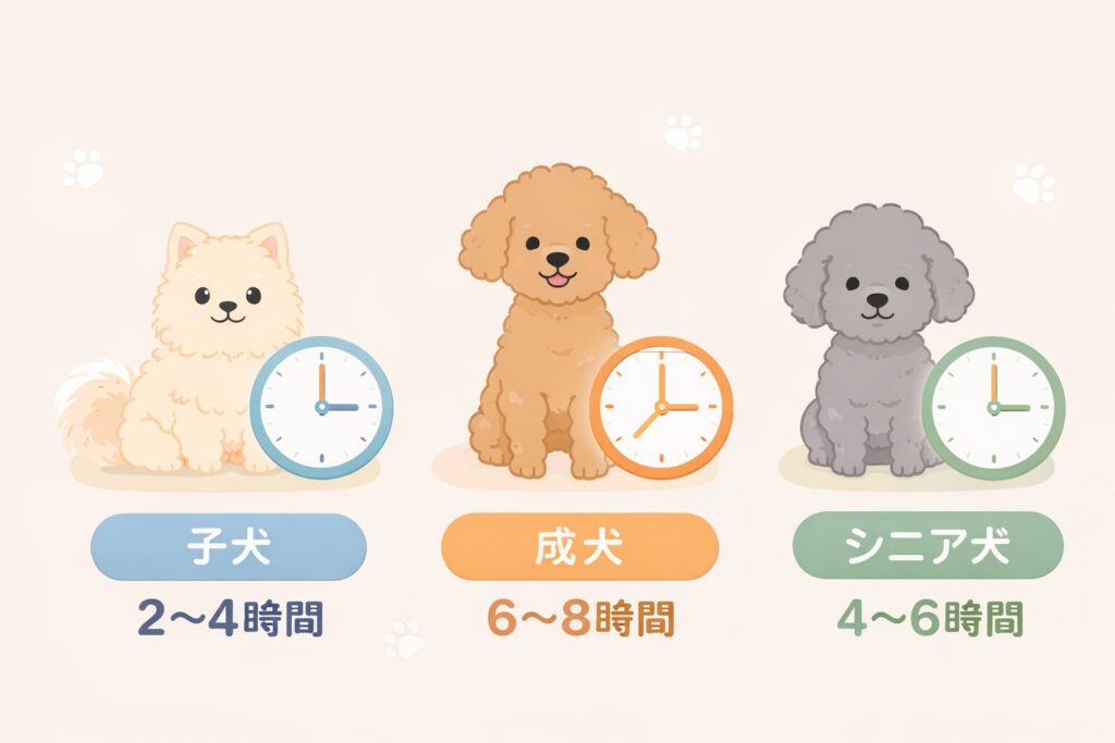 子犬2〜4時間・成犬6〜8時間・シニア犬4〜6時間の留守番時間比較イラスト