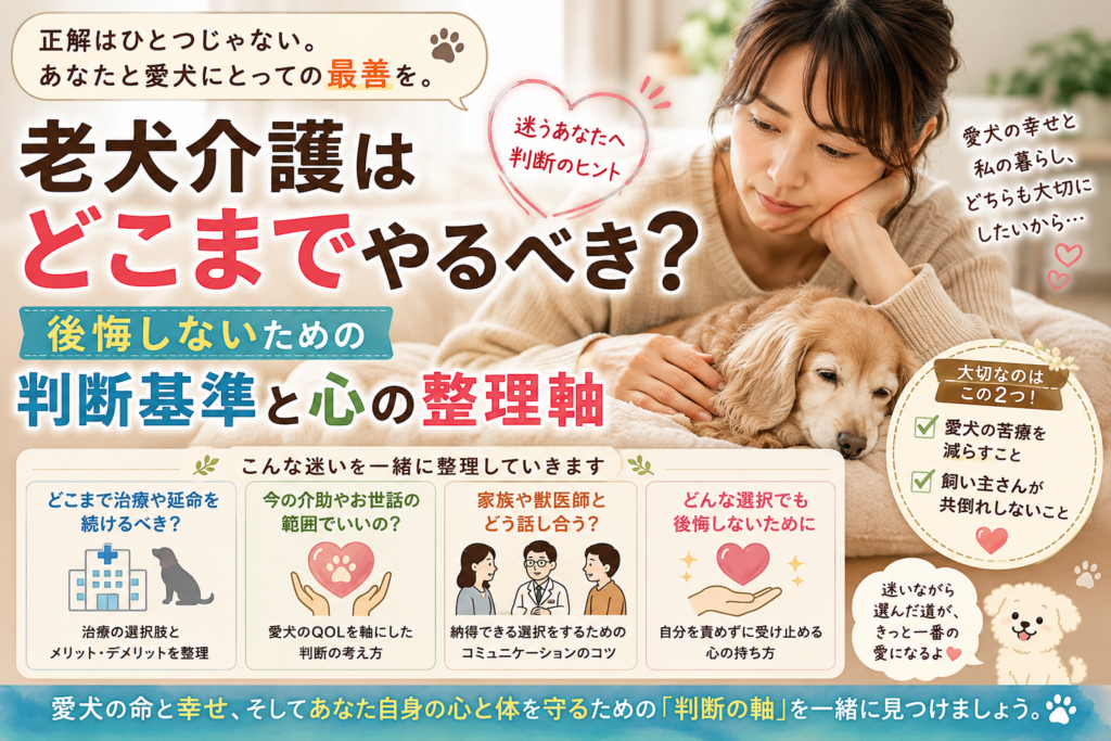 老犬に寄り添う飼い主と、後悔しないための介護の判断基準を解説するイメージ