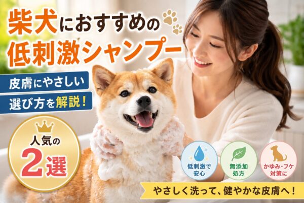 柴犬におすすめの低刺激シャンプーで愛犬をやさしく洗っている様子