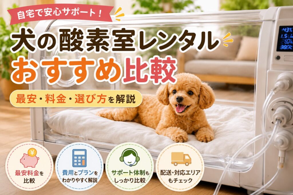 犬が酸素室の中でリラックスしている様子