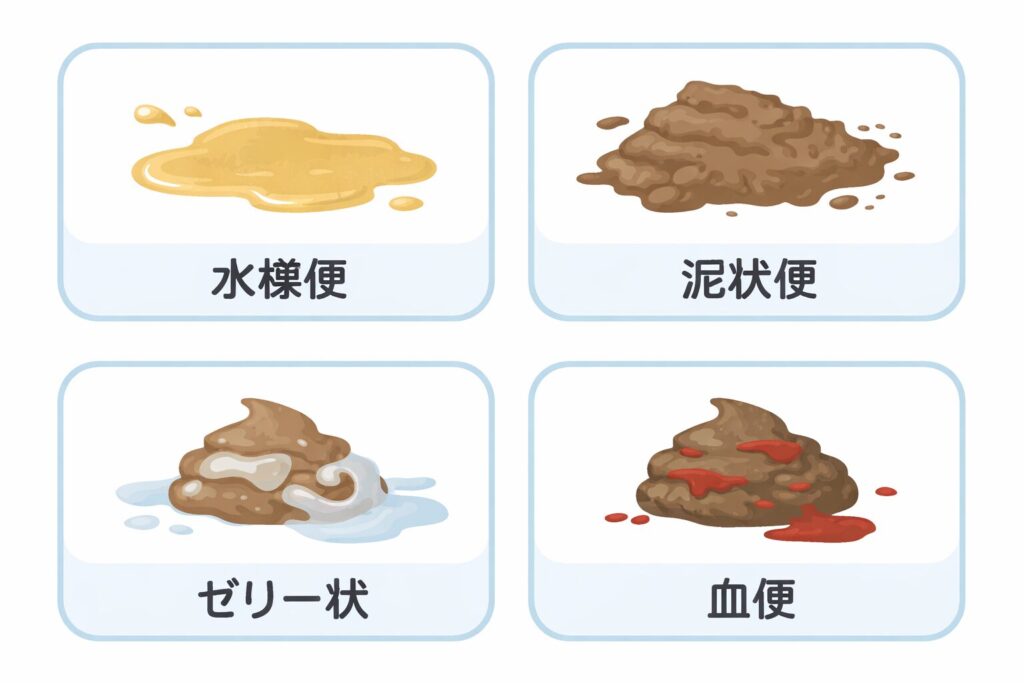 犬の水様便、泥状便、ゼリー状便、血便の違いを示した比較図