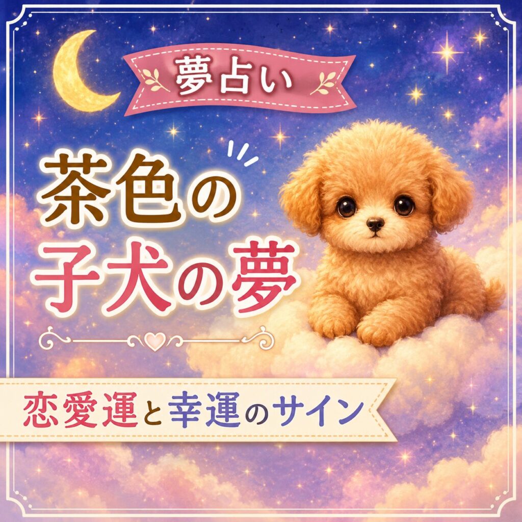 雲の上にいる茶色の子犬と星空を描いた、夢占いのイメージイラスト
