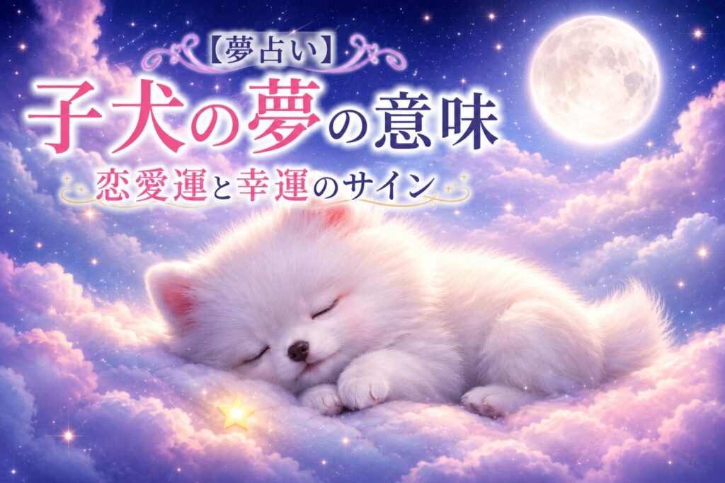 星空と月が輝く雲の上で眠る白い子犬と、夢占いをイメージした幻想的なイラスト