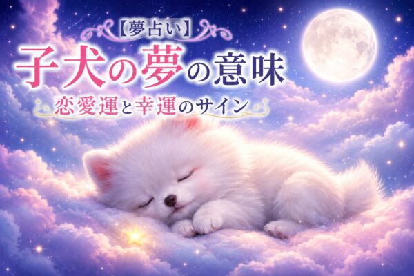星空と月が輝く雲の上で眠る白い子犬と、夢占いをイメージした幻想的なイラスト
