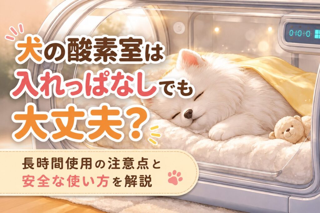 犬が安心して過ごしている様子
