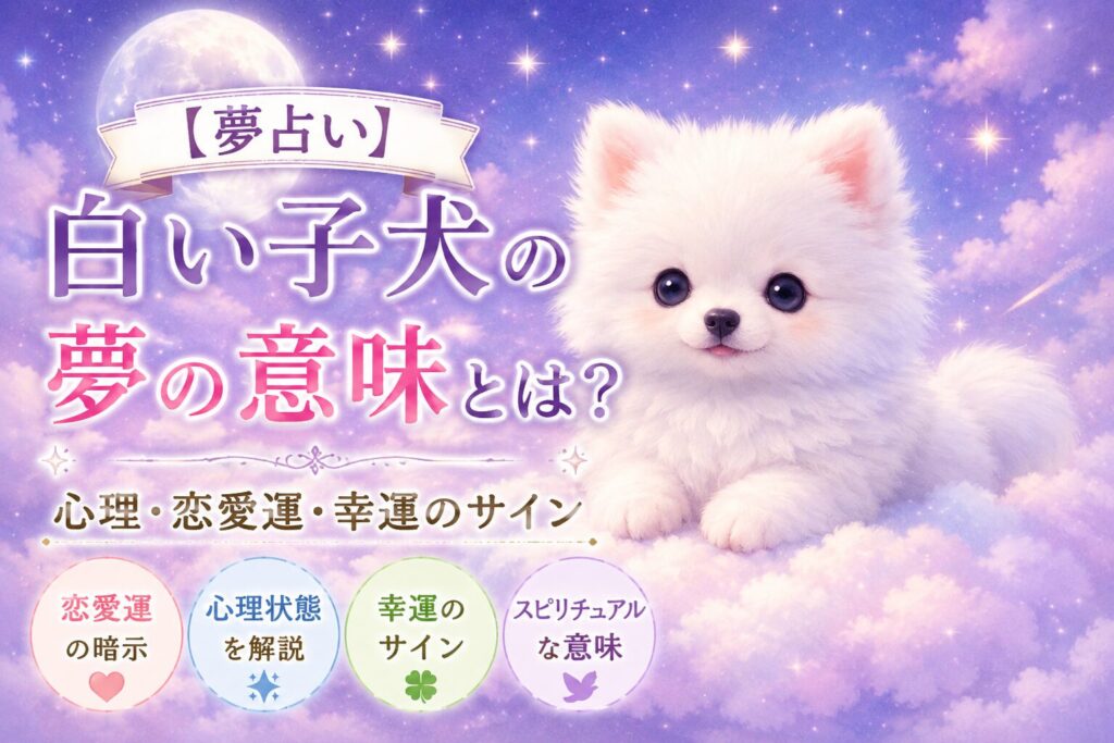 月夜の雲の上に座る白い子犬の夢をイメージした幻想的なイラスト
