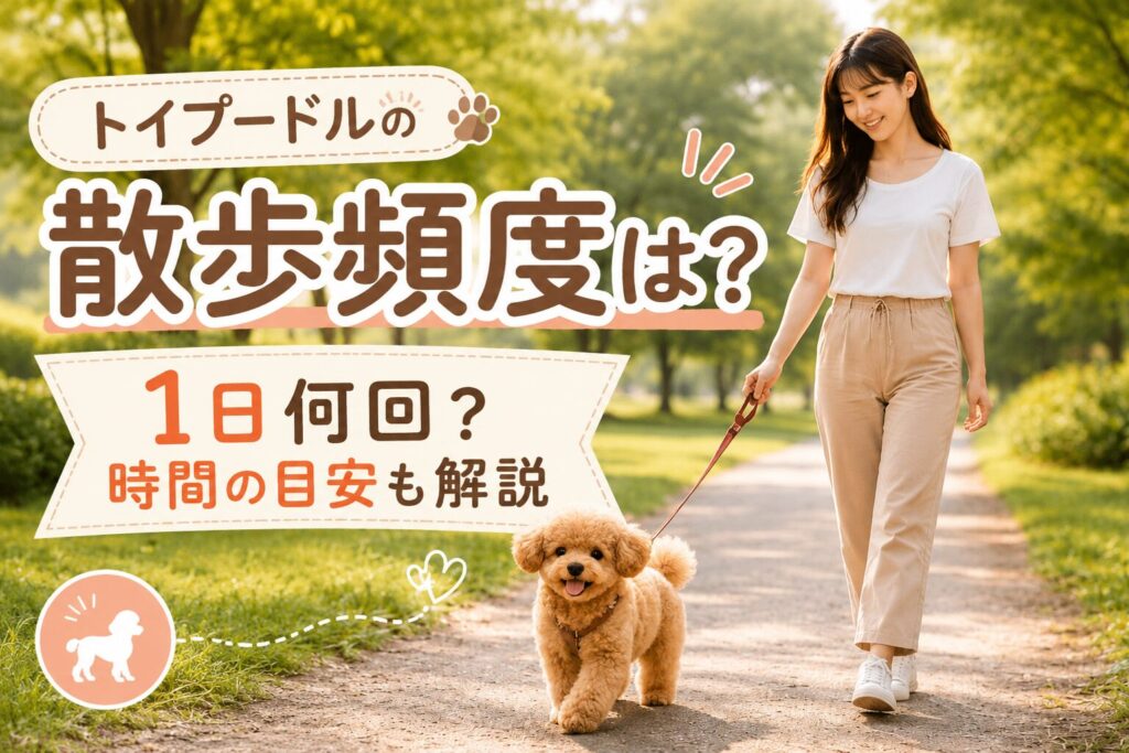 トイプードル 散歩頻度の目安