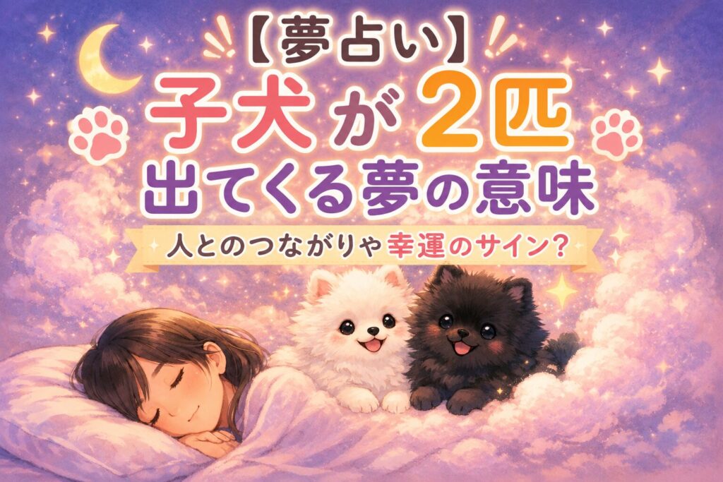 夢占いで子犬が2匹出てくる夢をイメージしたアイキャッチ画像