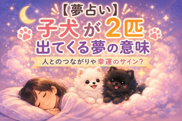 夢占いで子犬が2匹出てくる夢をイメージしたアイキャッチ画像