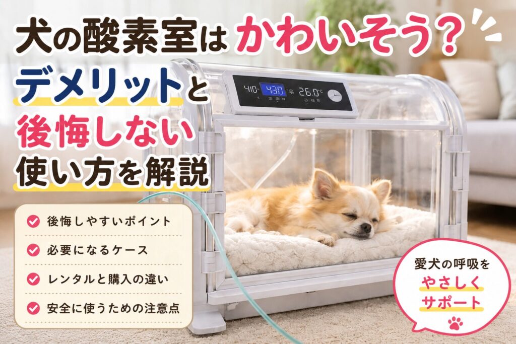 犬の酸素室で安静にしている小型犬の様子